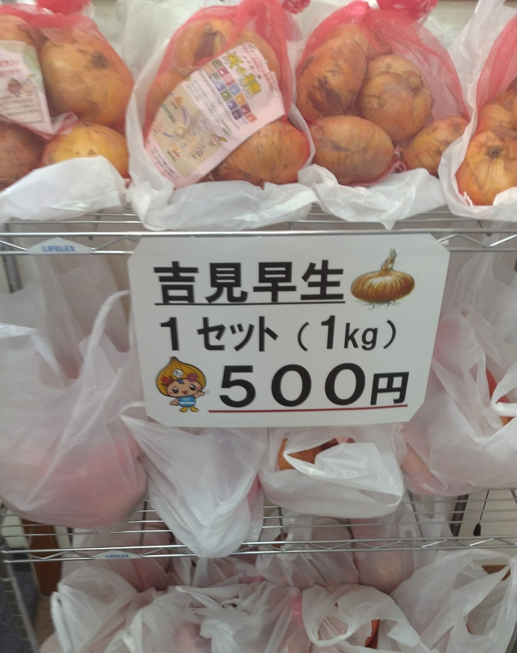 幻のたまねぎ
「吉見早生」販売中