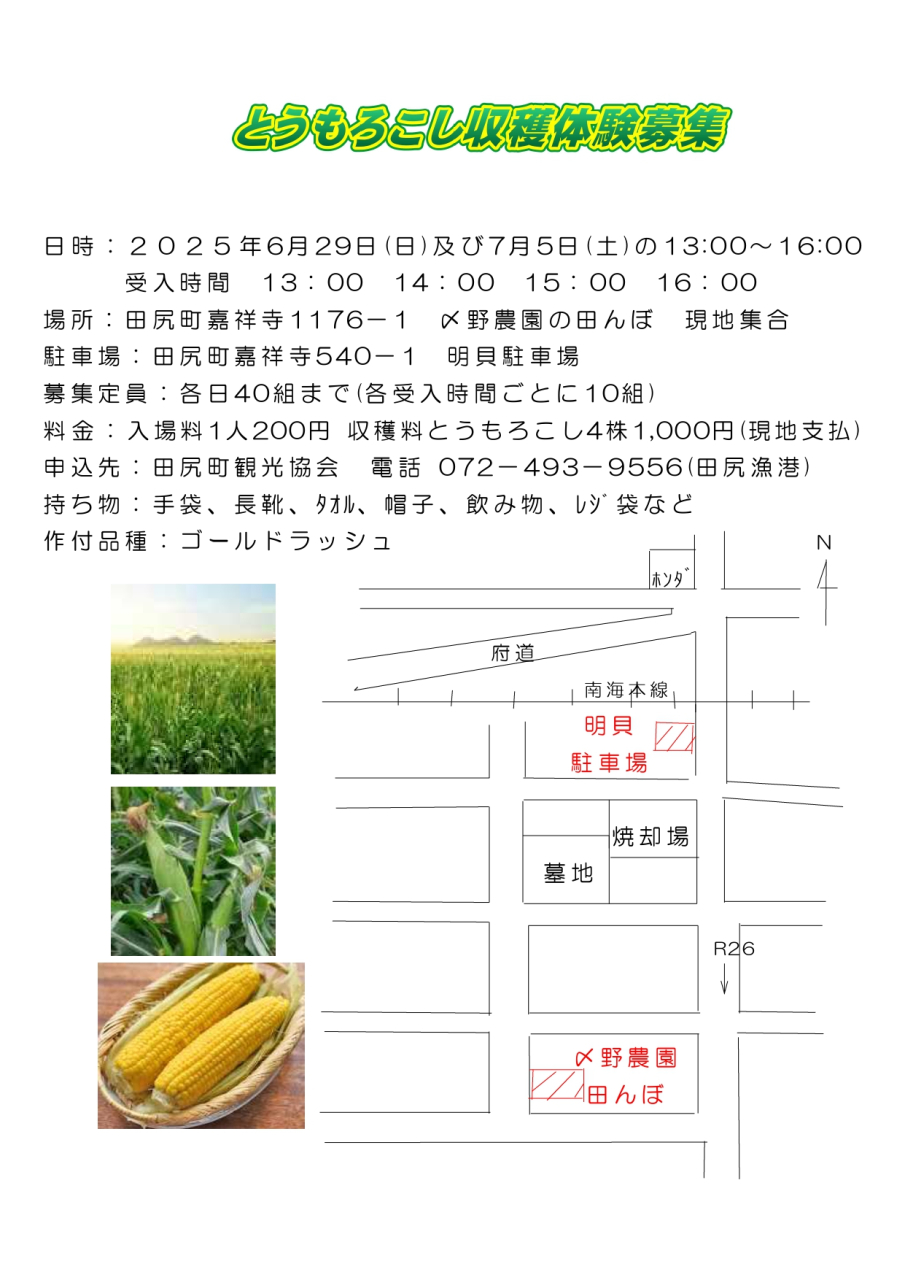 農家さんとの連携企画
「とうもろこし収穫体験｝